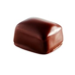 Summerbird Collection 18 - �kologisk