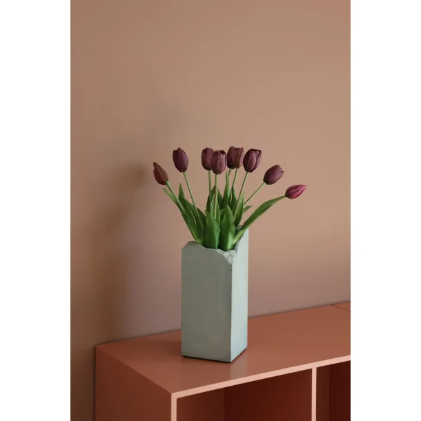 Lilla Tulipaner 5 stilke