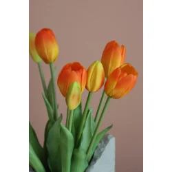 Orange Tulipaner 5 stilke