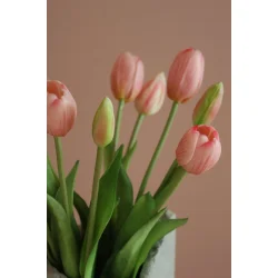 Lyser�de Tulipaner 5 stilke