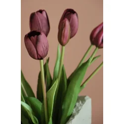 Lilla Tulipaner 5 stilke