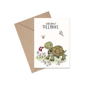 Forsinket tillykke skildpadde - A6 kort