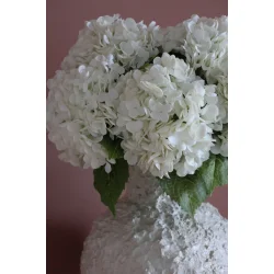 Hortensiabuket - Hvid