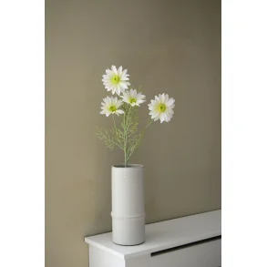 Naturtro Marguerit gren