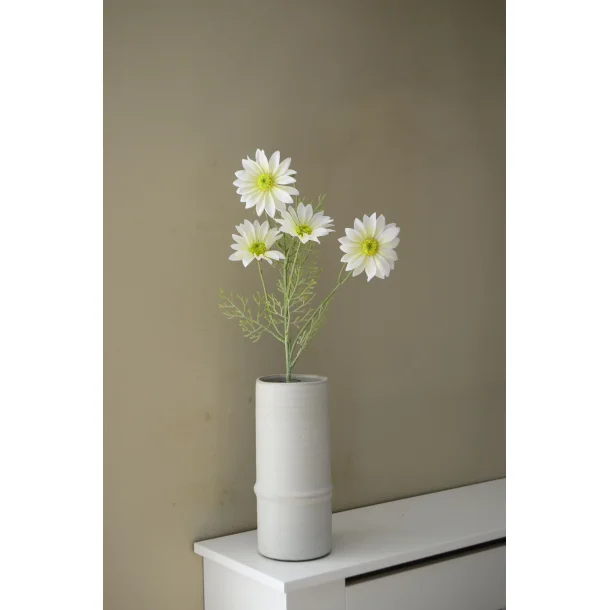 Naturtro Marguerit gren