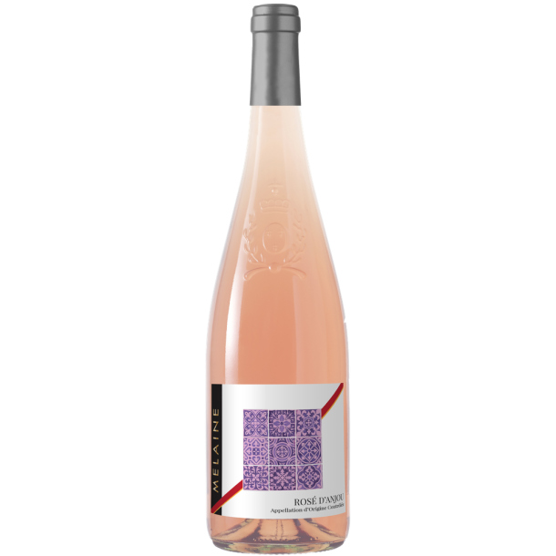 Melaine Rose d'Anjou