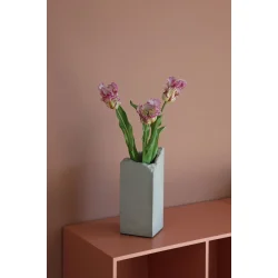 Lilla Papeg�je Tulipaner 3 stilke