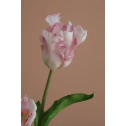 Lyser�de Papeg�je Tulipaner 3 stilke