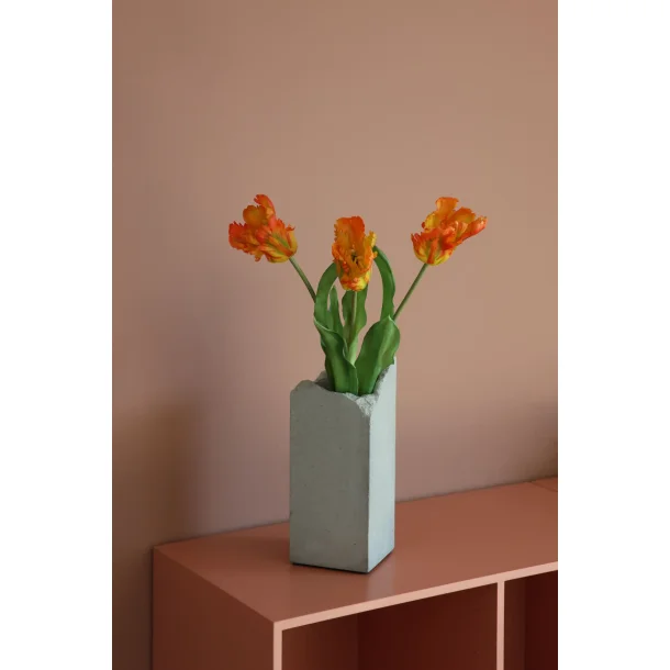 Orange Papeg�je Tulipaner 3 stilke