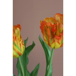 Orange Papeg�je Tulipaner 3 stilke