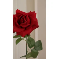 Naturtro R�d Rose