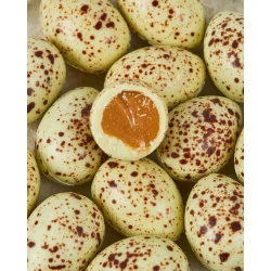 Lemon &amp; Pistachio Quail Eggs