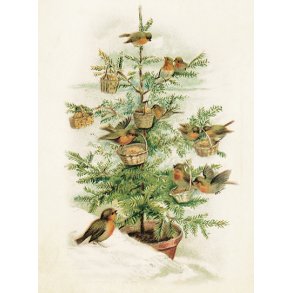 Kort med Grantr og Fugle